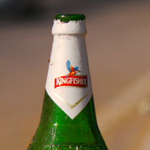 Kingfisher